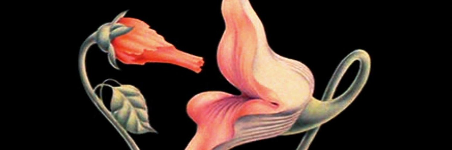 MD_AR05's profile banner image
