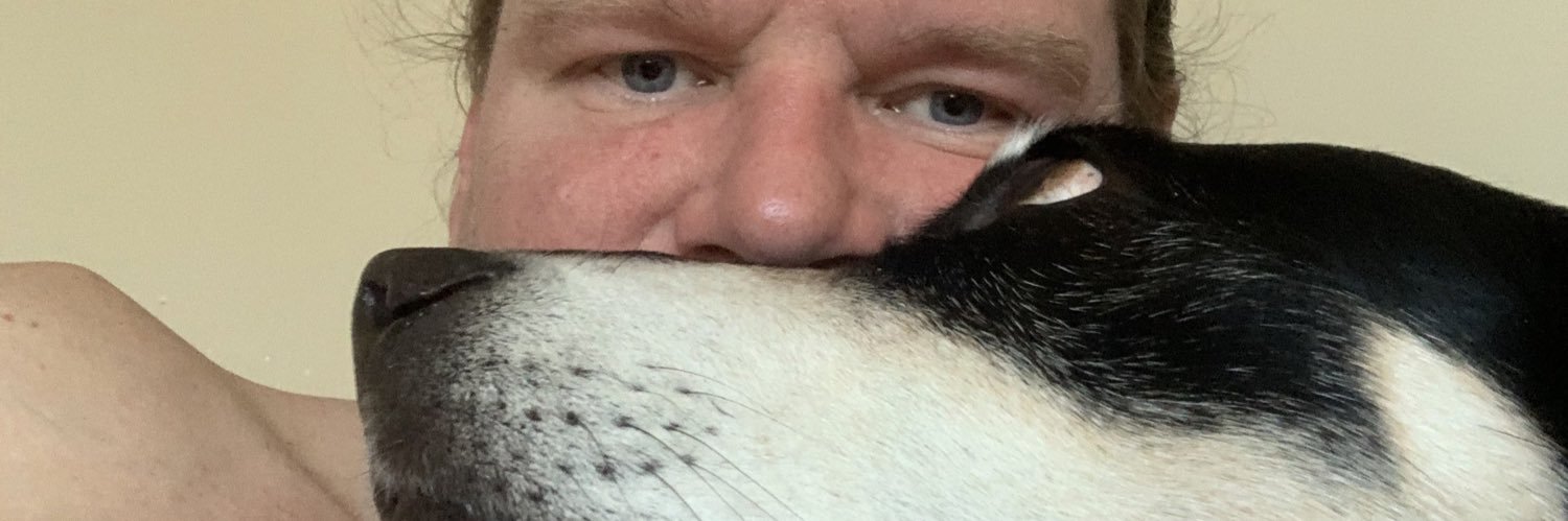 dave sheppard banner