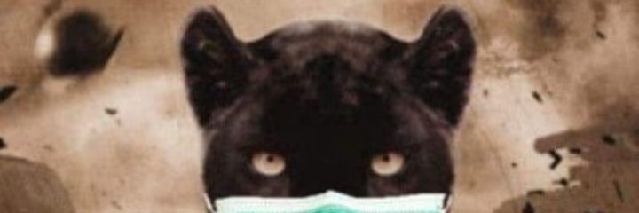 BaryTubee's profile banner image