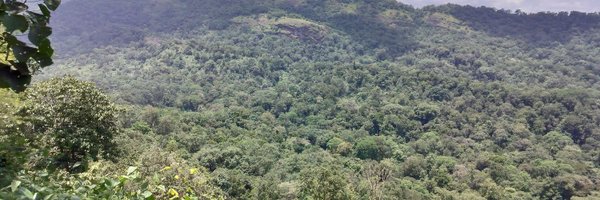 big_butt_guy Profile Banner