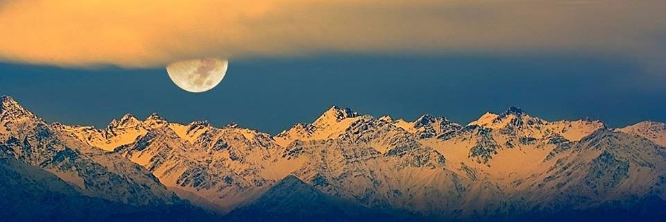 blackfisher005's profile banner image