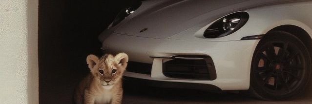 𝑆 banner