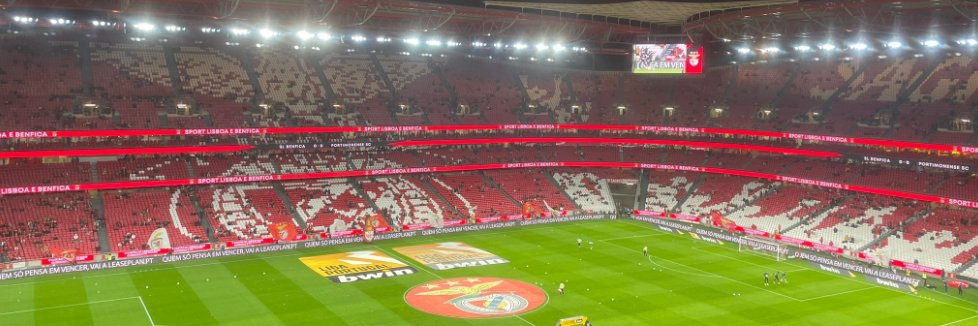 Sr.Benfica banner