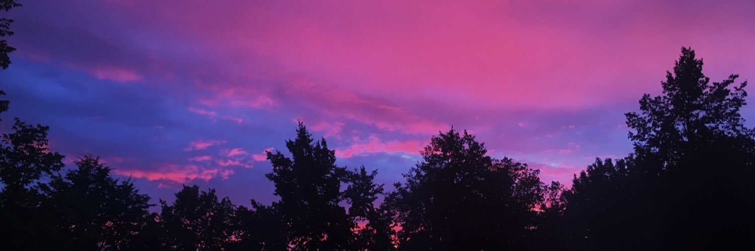 jennibergvall's profile banner image