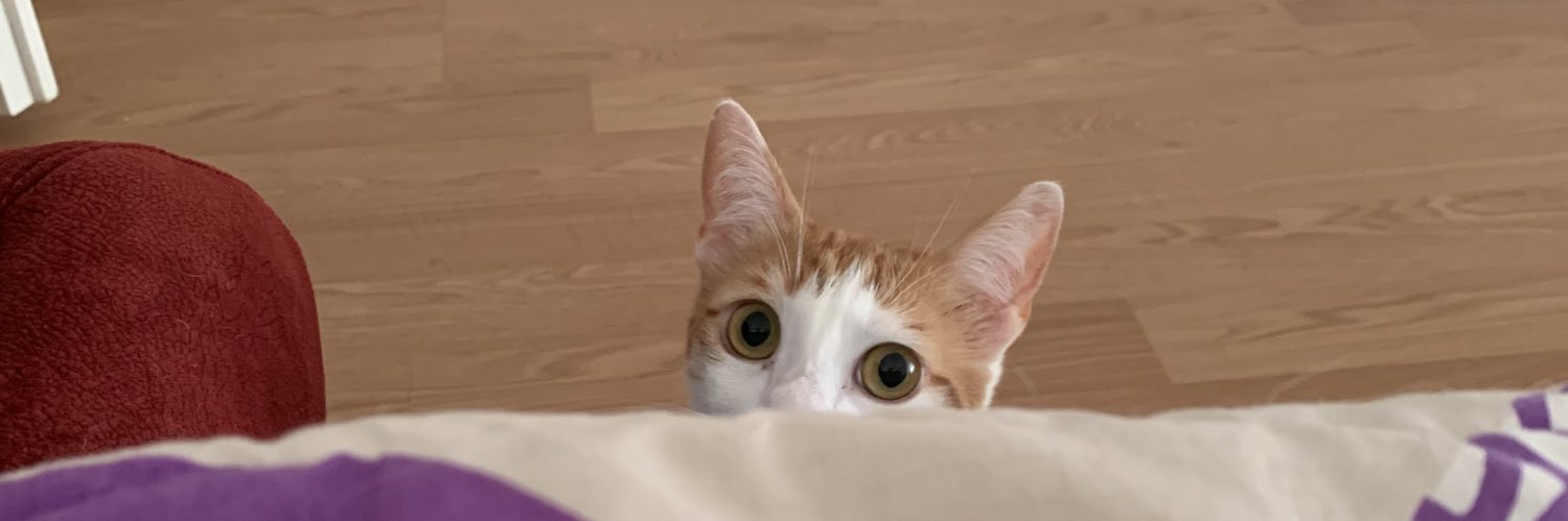 Bobirikk's profile banner image