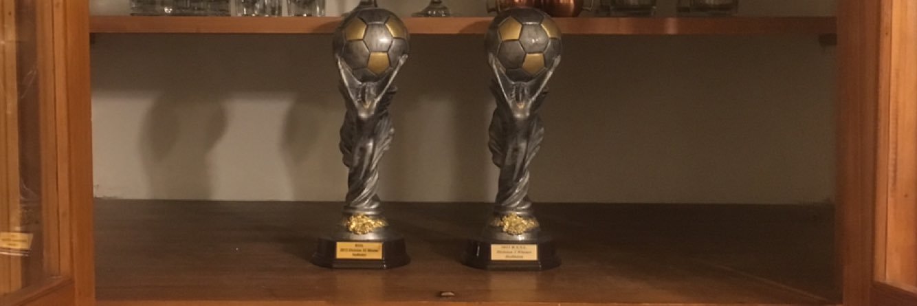 HollistonFC's profile banner image