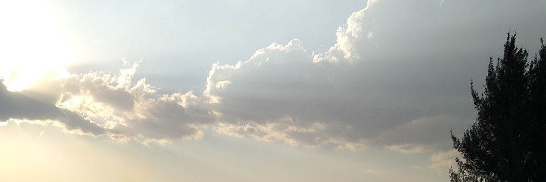 Xicor banner