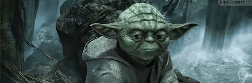 The Real Yoda banner