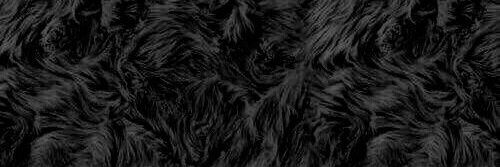 wildliafire_'s profile banner image