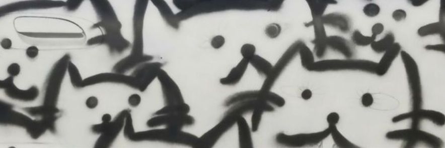 xiaostty's profile banner image