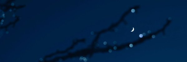 suzuuuuu002 Profile Banner