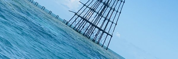 TarraRenea Profile Banner