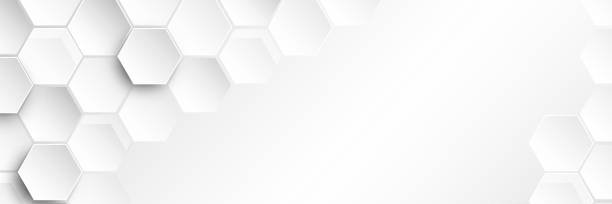 CryptoKat16's profile banner image