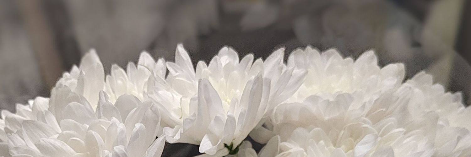 DaStyles69's profile banner image