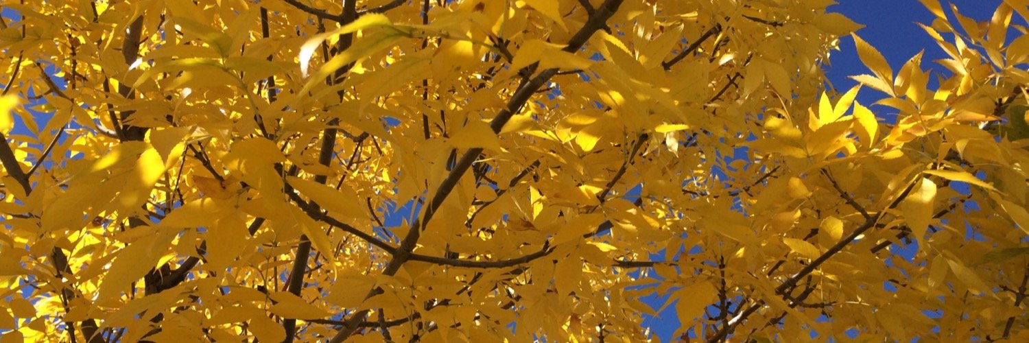 wstearns's profile banner image