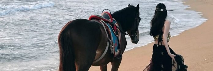 amywesterfalls's profile banner image