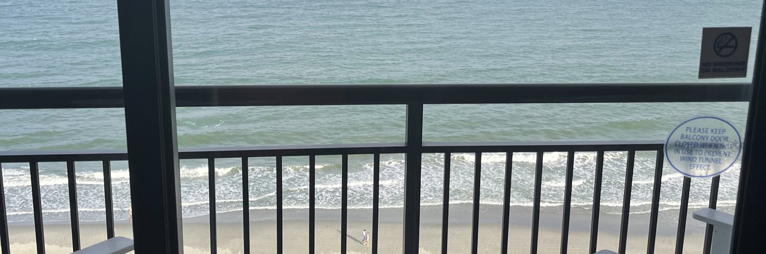 Southern Guy banner