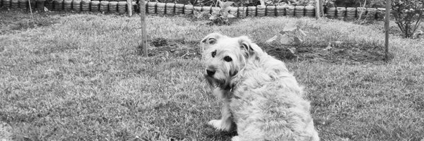 BasiaCh83 Profile Banner