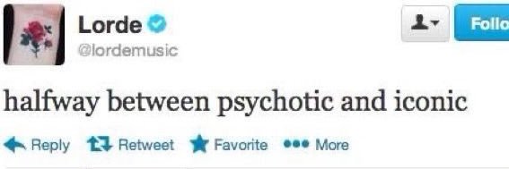Daniel Coimbra banner