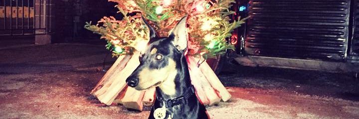 mattjward's profile banner image