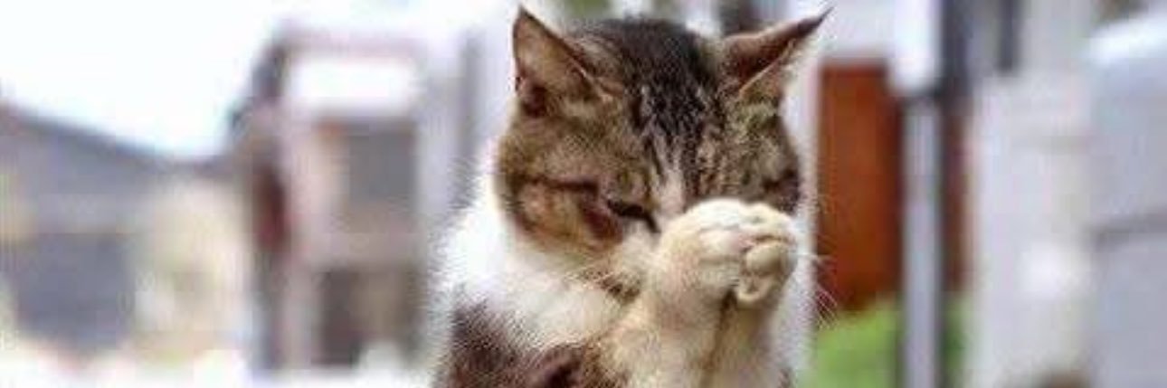 fatoş 🐯🐕🐣 banner