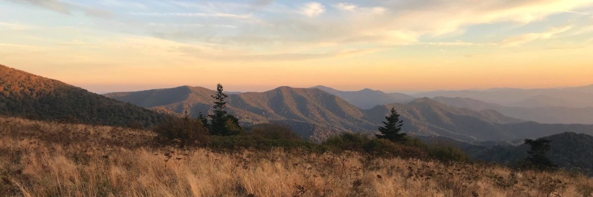 haleygo7's profile banner image
