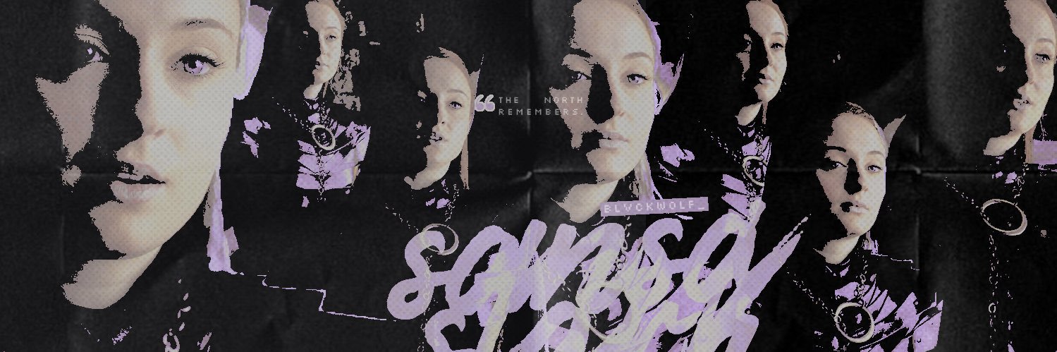 . . . 𝚂𝙰𝙽𝚂𝙰 𝚂𝚃𝙰𝚁𝙺. banner