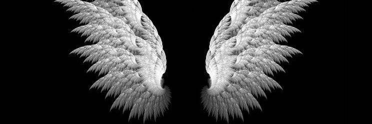 naveenkumar5321's profile banner image