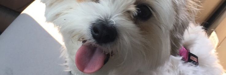 transquinn2's profile banner image