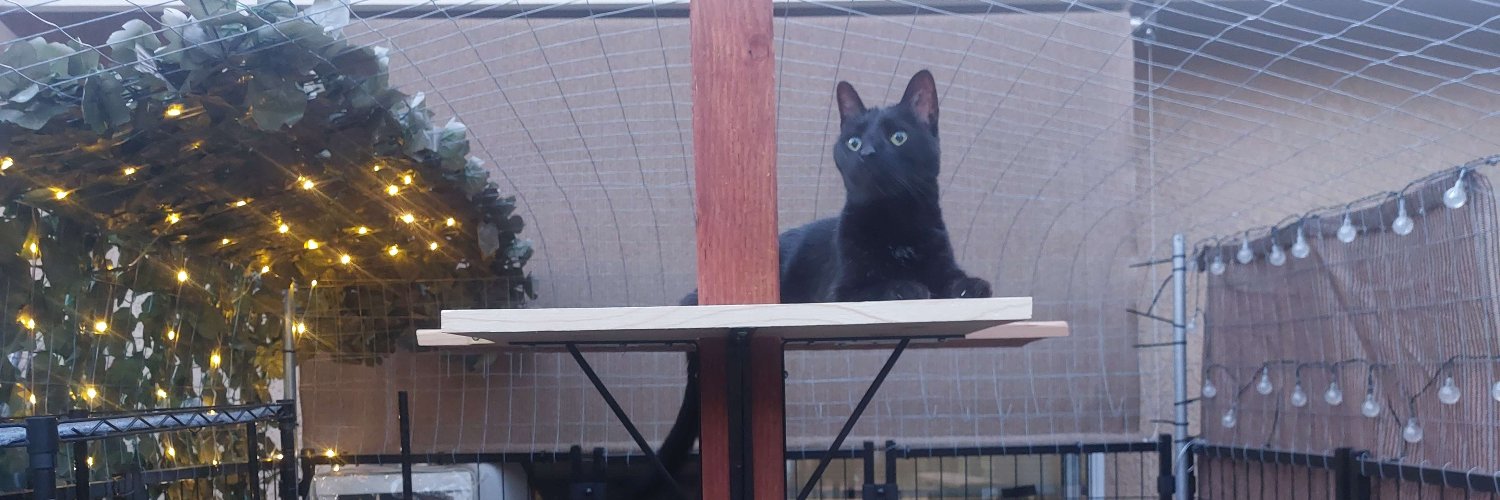 Janet | ghiblimagic on 🦋 banner