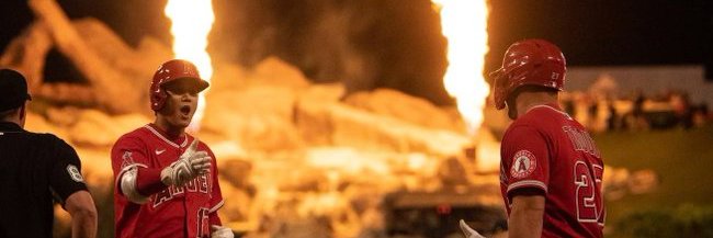 Better Call Shohei banner