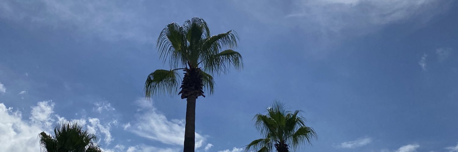 ASaavedra_'s profile banner image