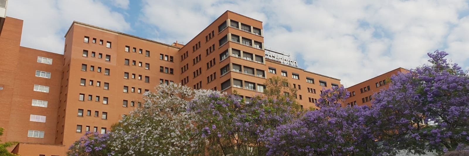 gisela teixido banner