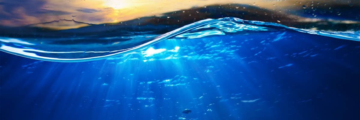 afishincrypto banner