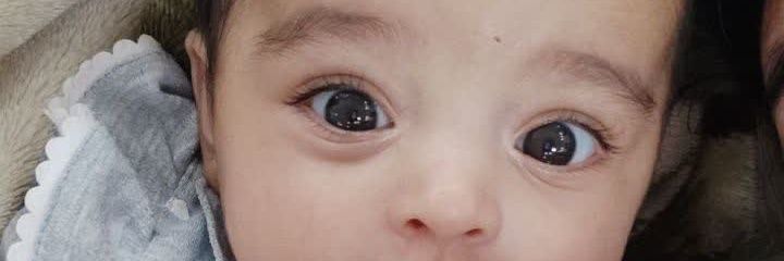 SadeqBakhshi's profile banner image