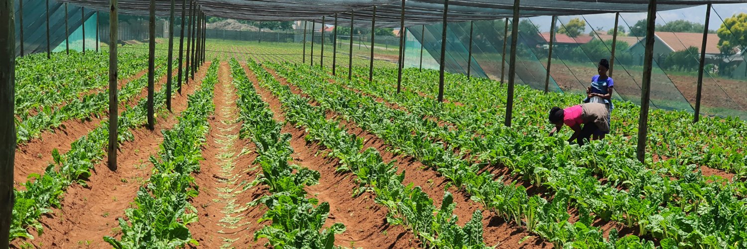 DemeterAfrica's profile banner image