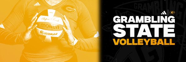 gsutigers_vb Profile Banner