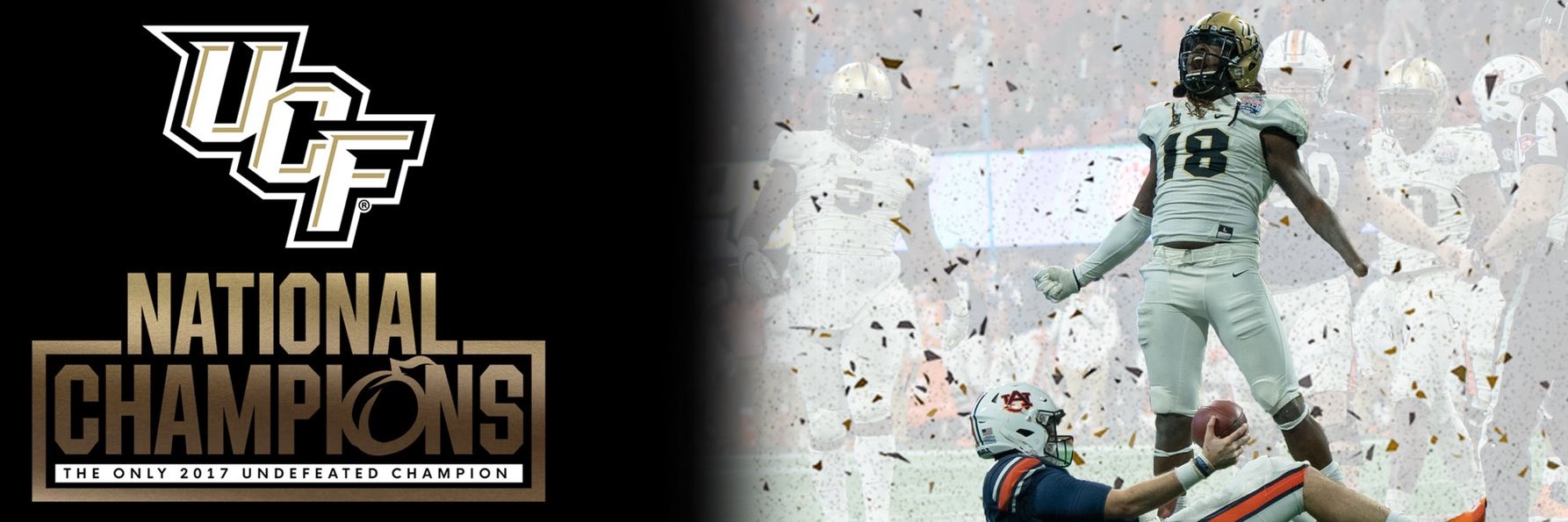 BoredFootballGuy banner