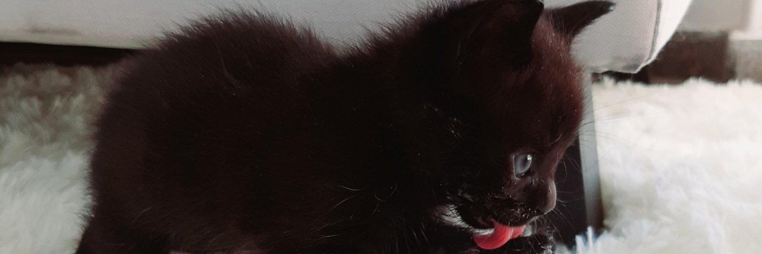 estefipanizoni's profile banner image