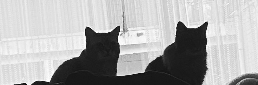 alpaco 🌙 banner