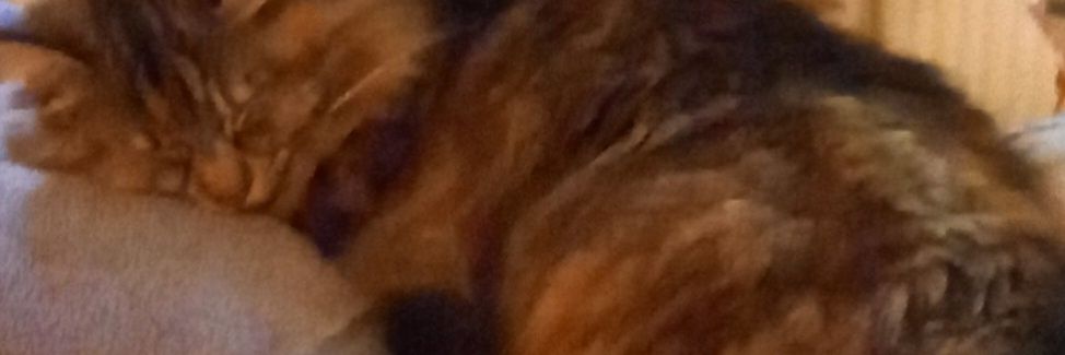 DerangedSlur's profile banner image