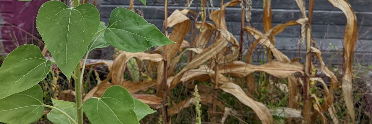Rex Manning The Third banner