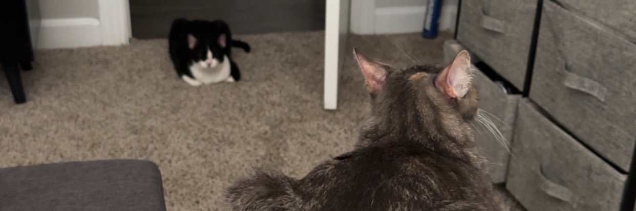 MaryyMe_'s profile banner image