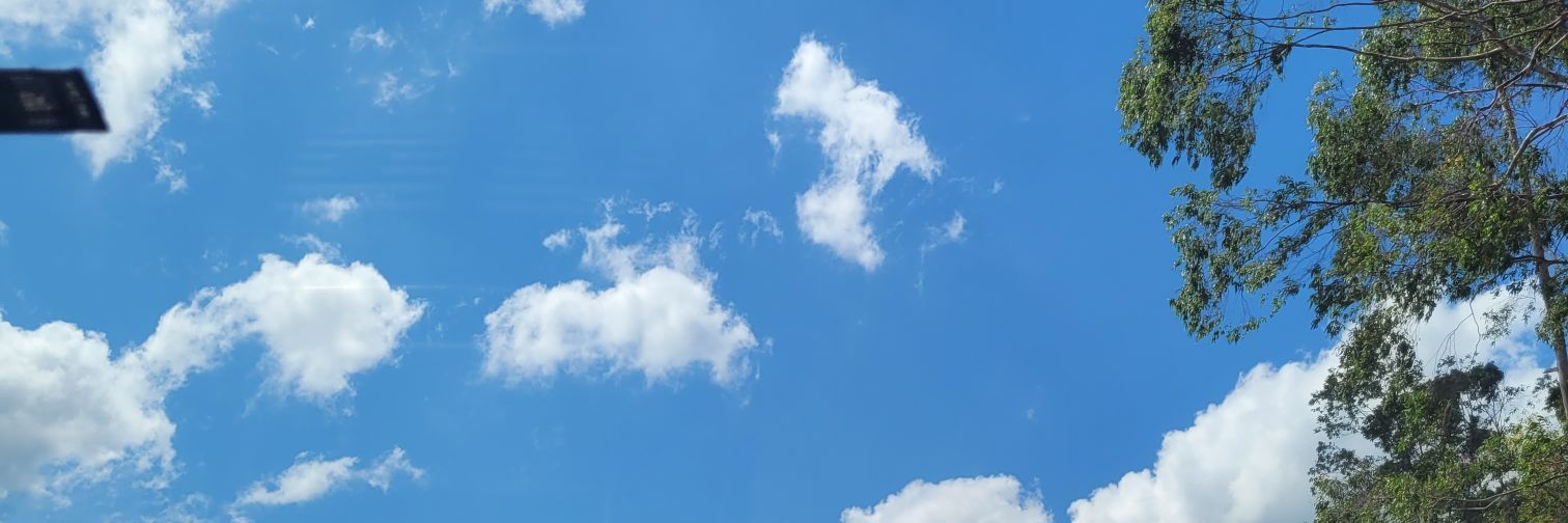 ohnasciment0's profile banner image