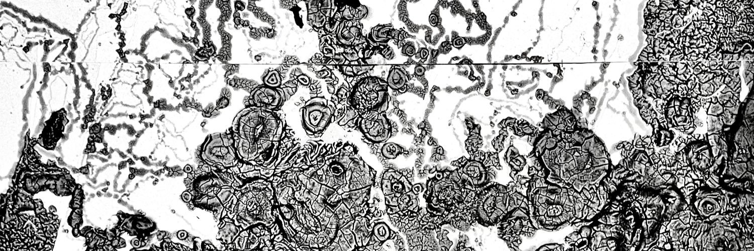 fargui 🪲 banner