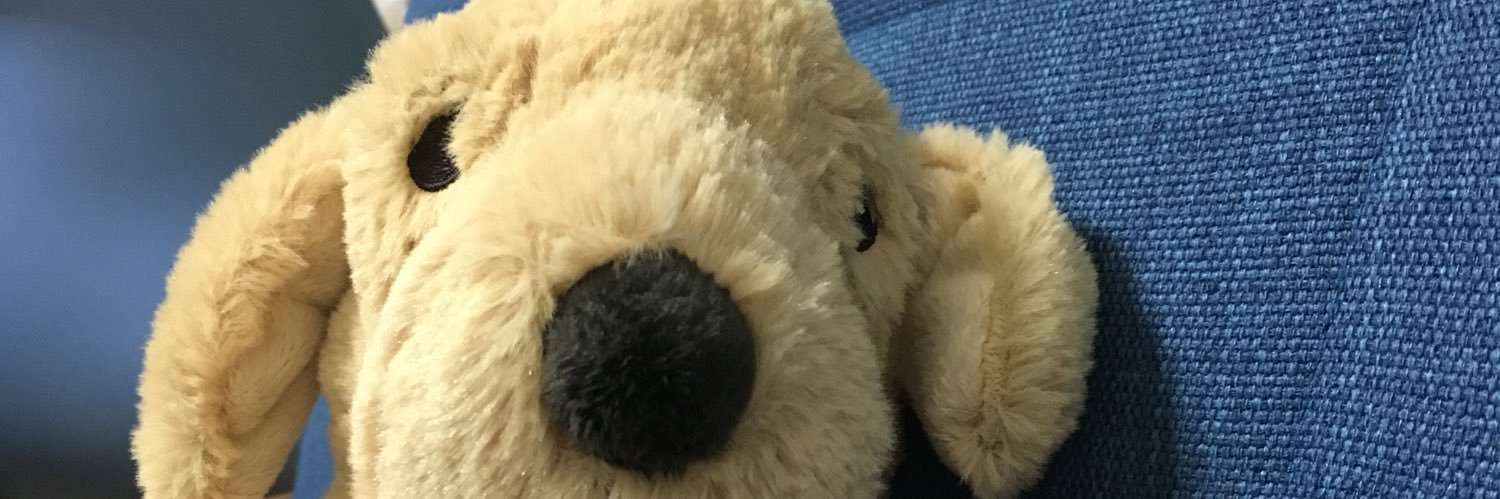 nagako's profile banner image