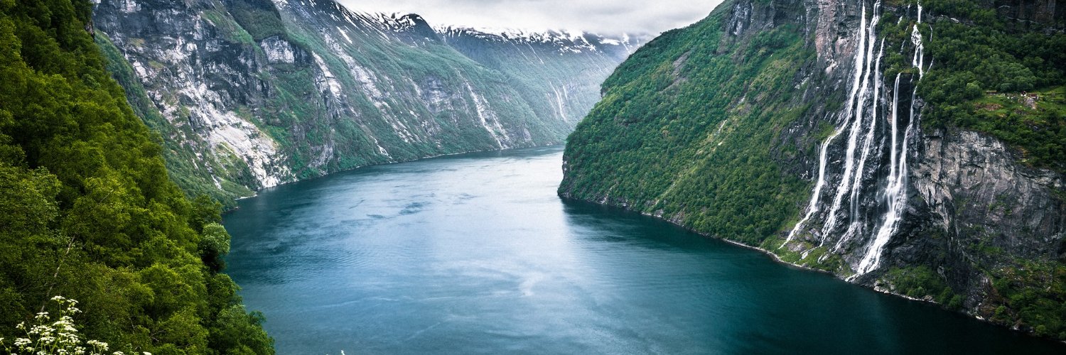 FallowsTrang's profile banner image