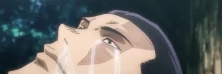 whip whitaker banner