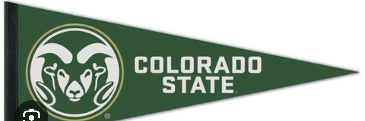 Isabelle Oefinger 2026 banner