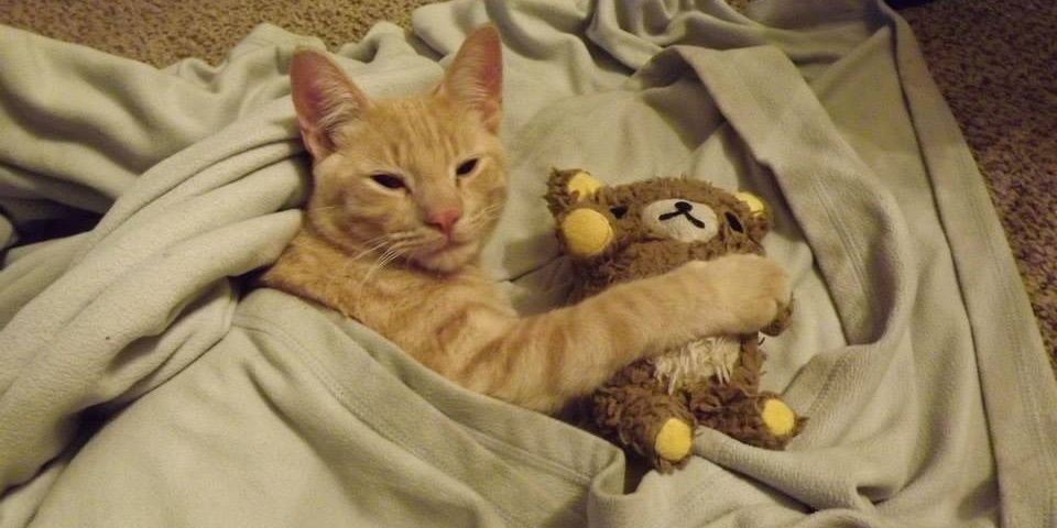 Angelena R. Cassady banner